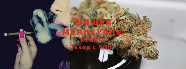 PSILOCYBIN Новокубанск