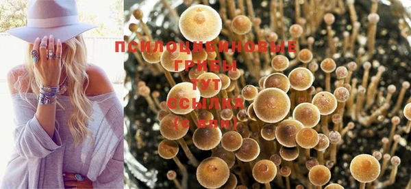 винт Новозыбков
