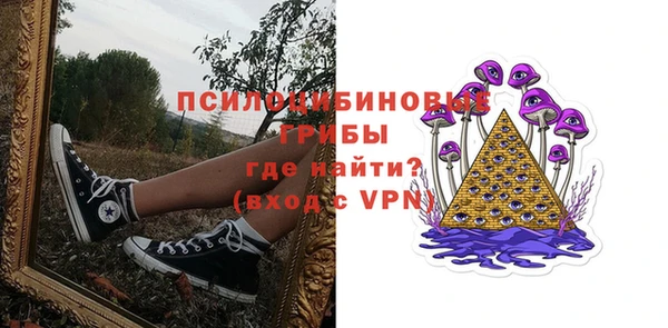 PSILOCYBIN Новокубанск