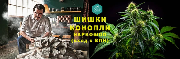 винт Новозыбков