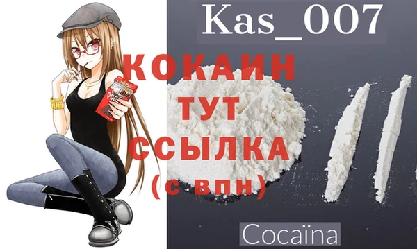 PSILOCYBIN Новокубанск