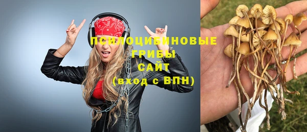 ешки Новодвинск